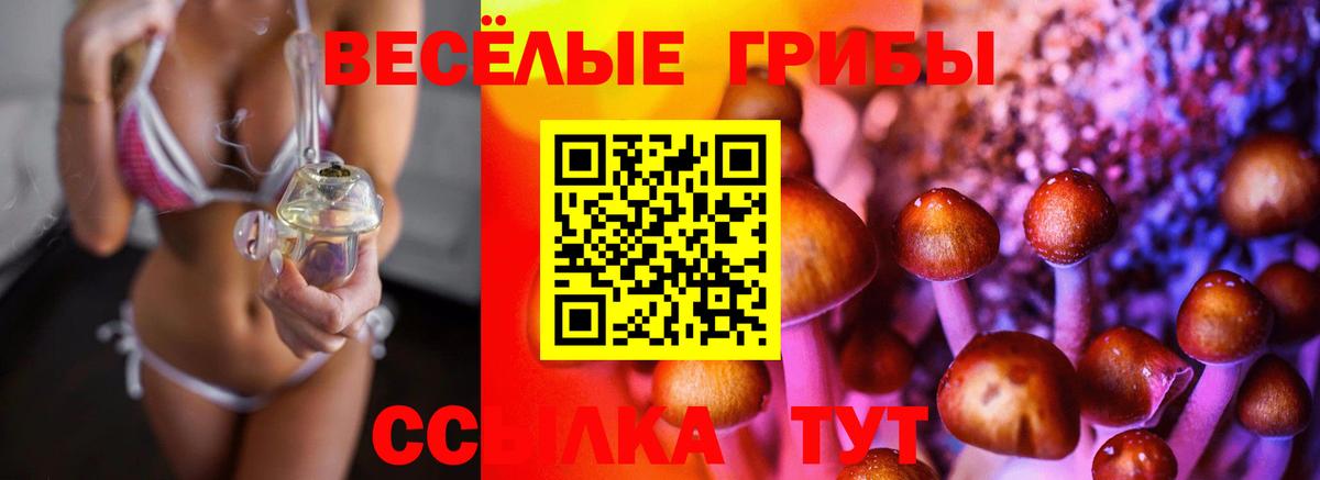 Псилоцибиновые грибы Psilocybine cubensis Воткинск